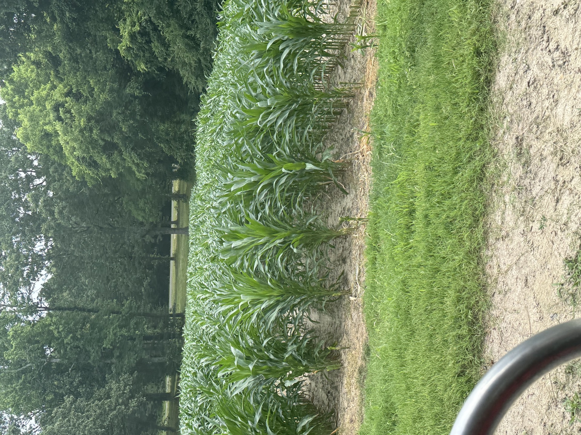 Field research photo 3