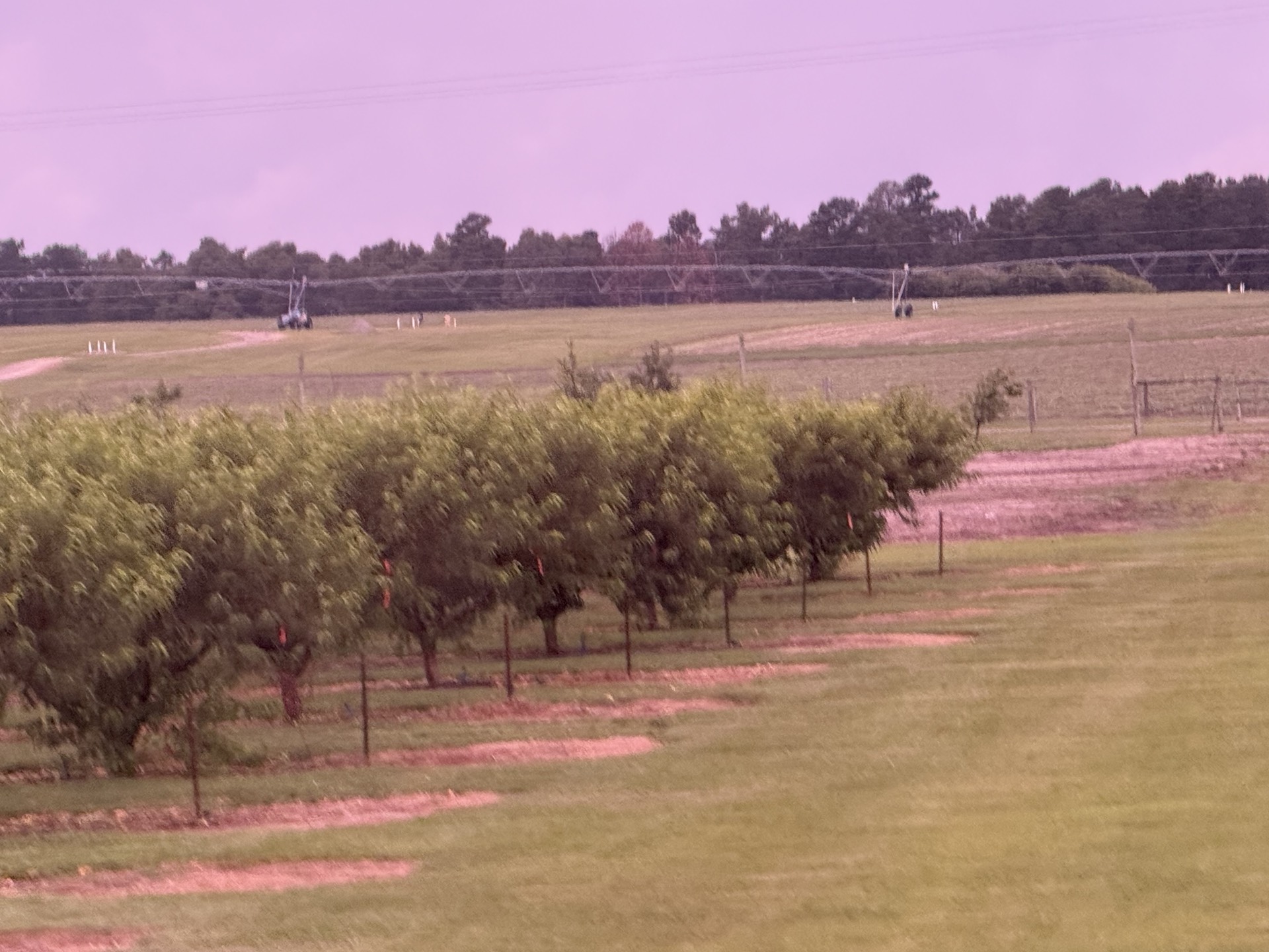 Field research photo 5