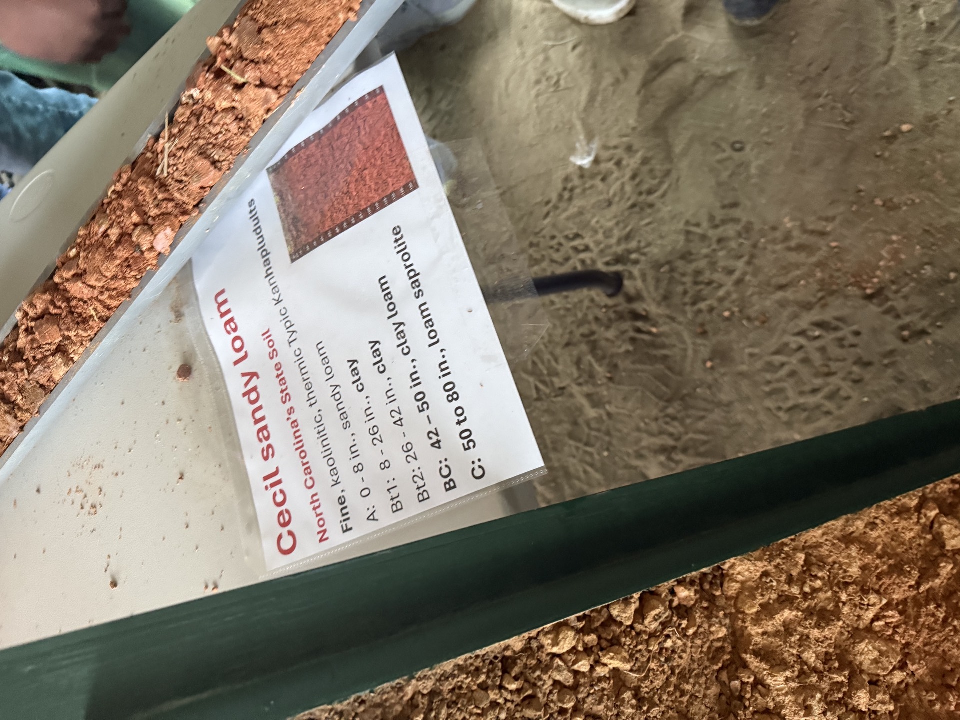 Field research photo 12