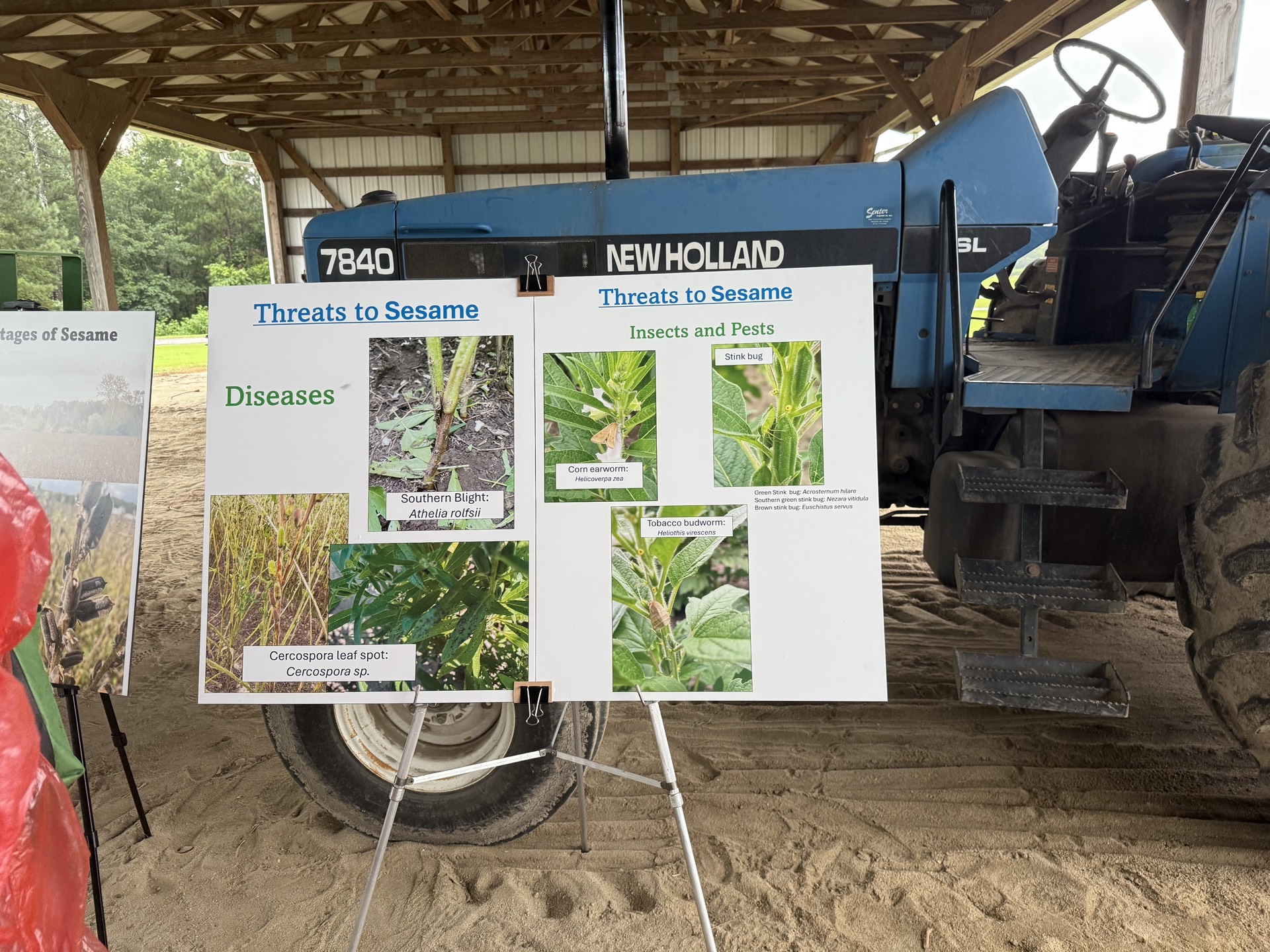 Field research photo 13