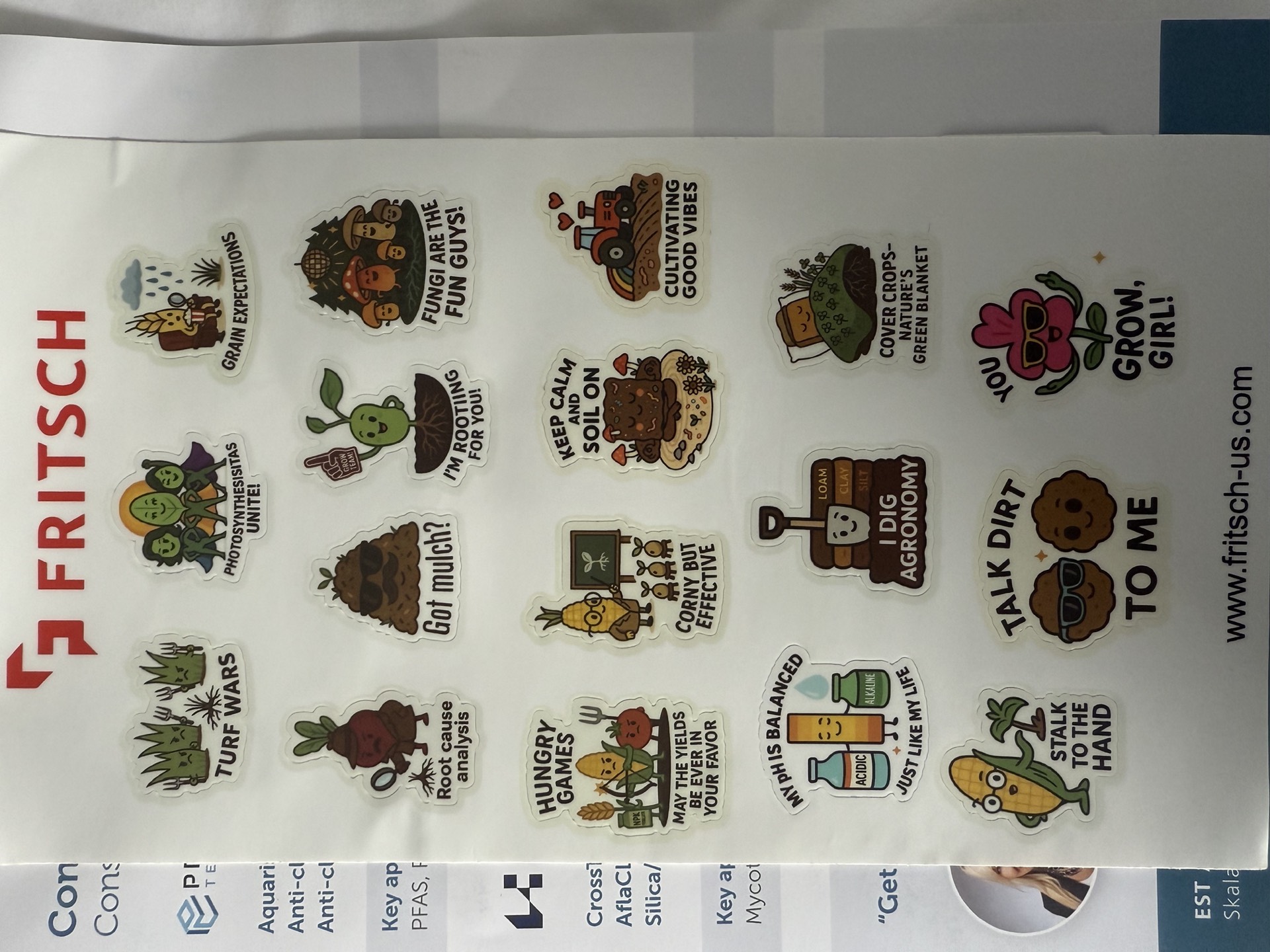 Field research photo 14