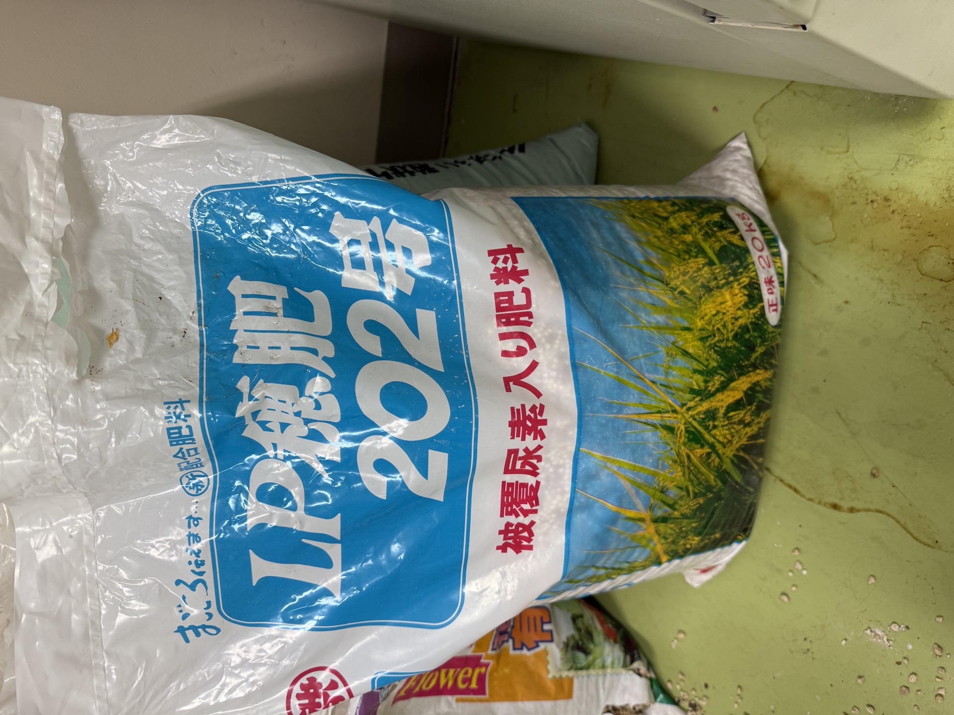 Field research photo 17