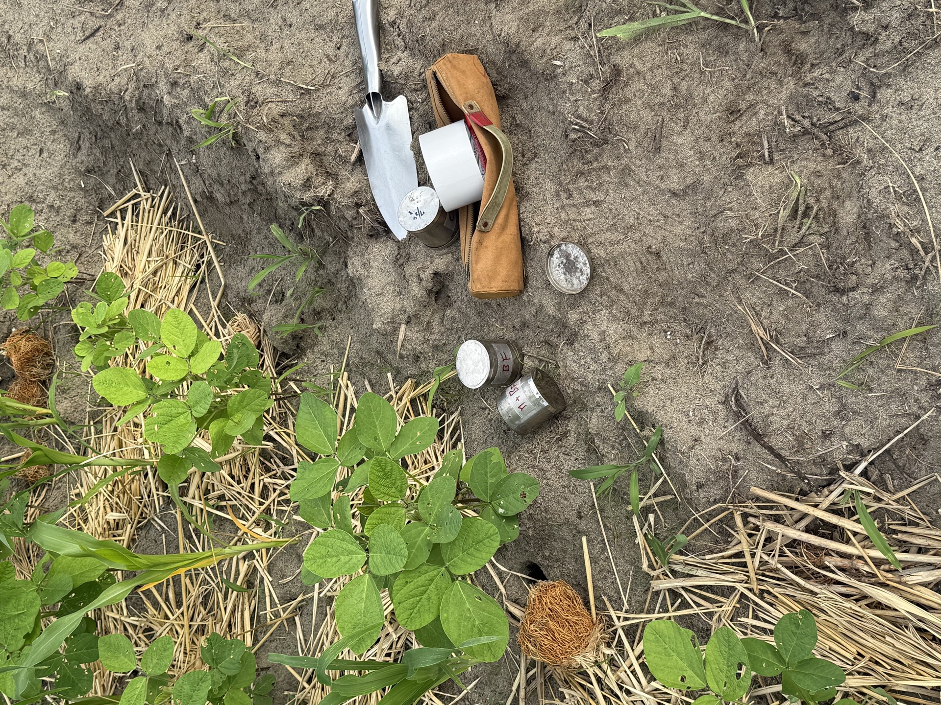 Field research photo 20