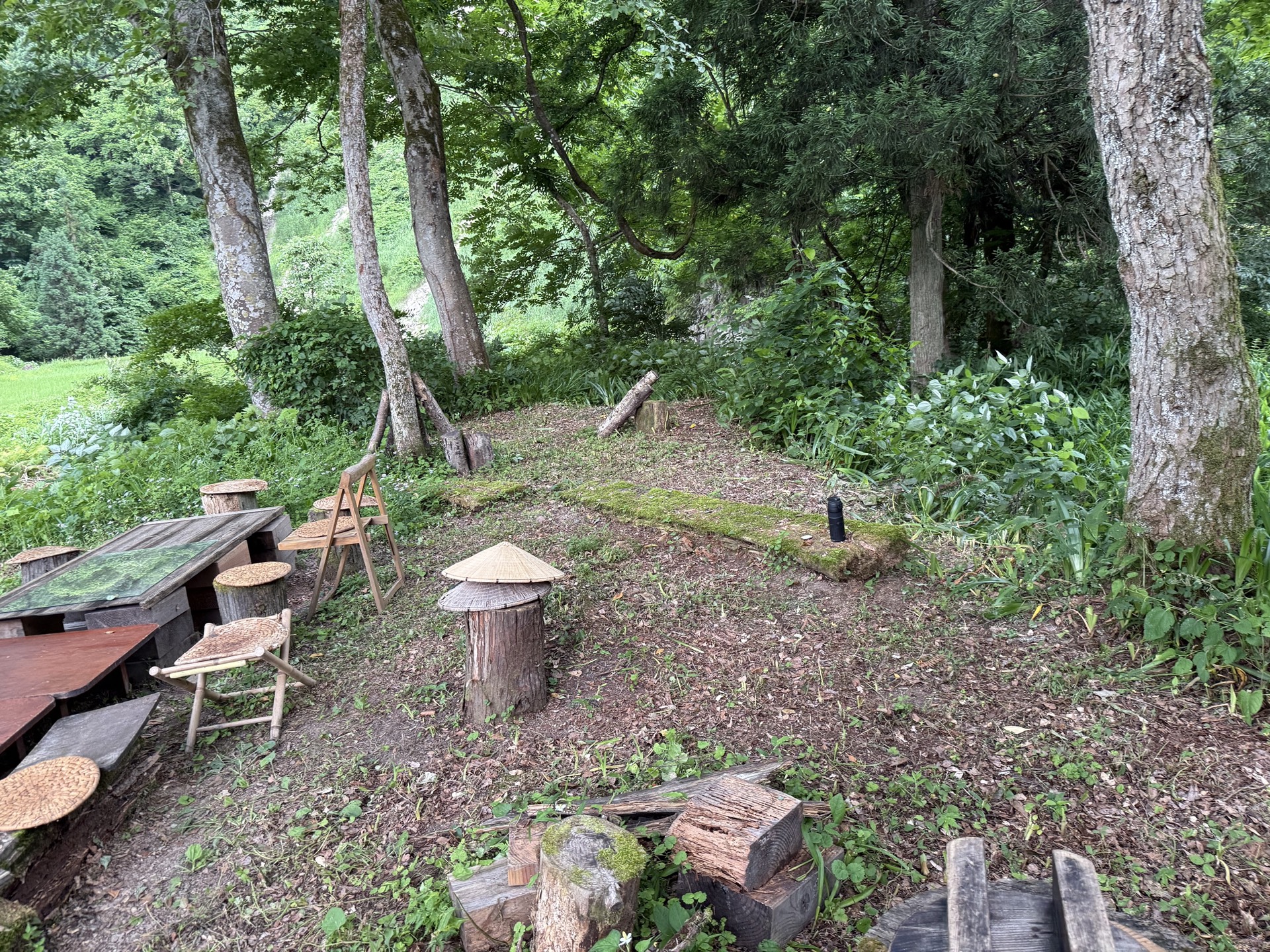 Field research photo 22