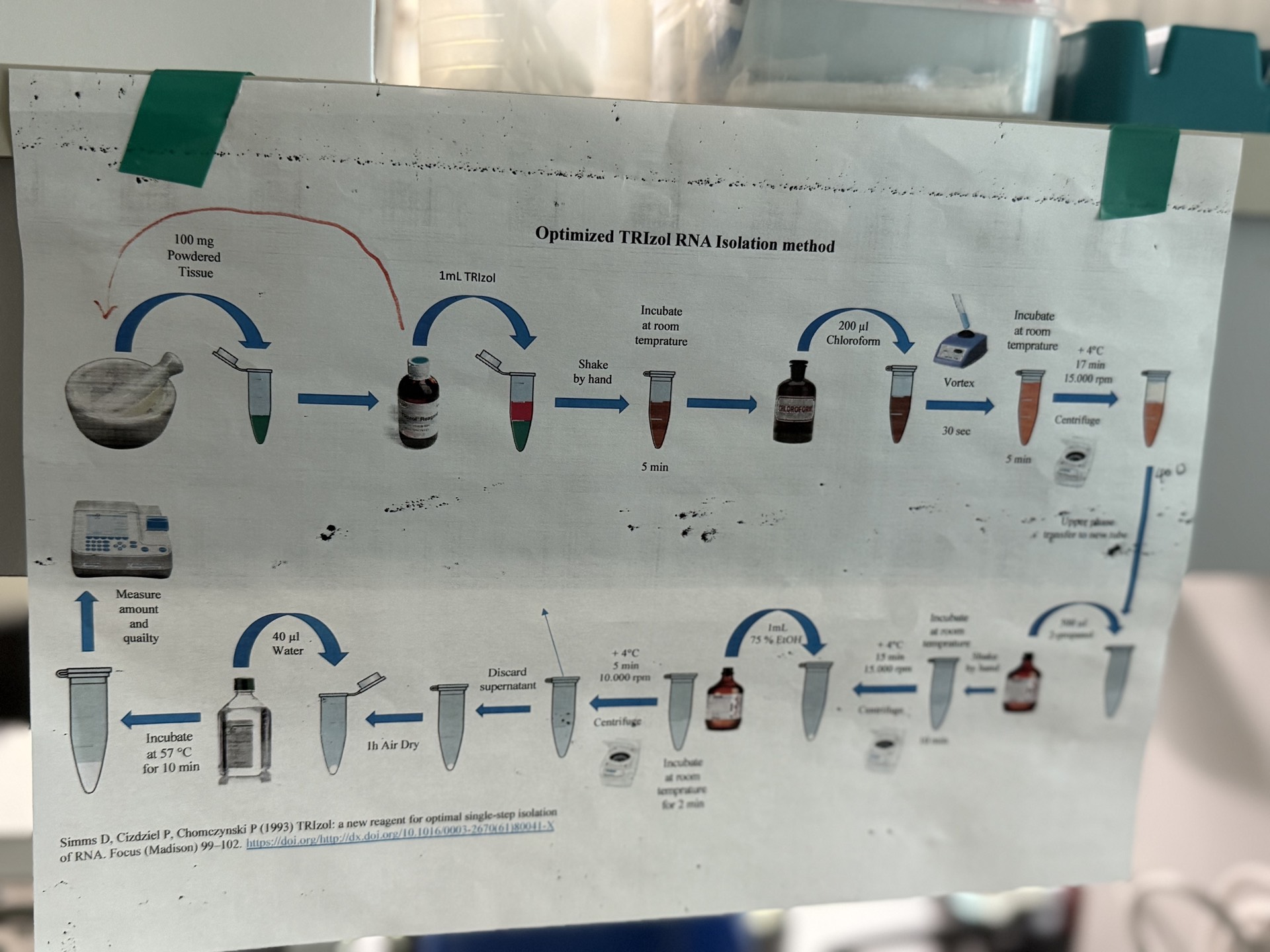 Field research photo 24