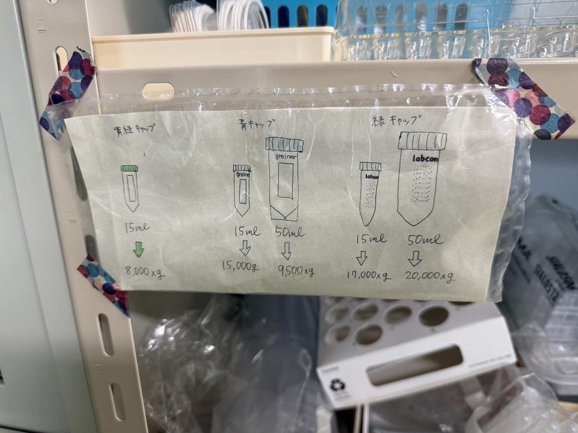 Field research photo 25