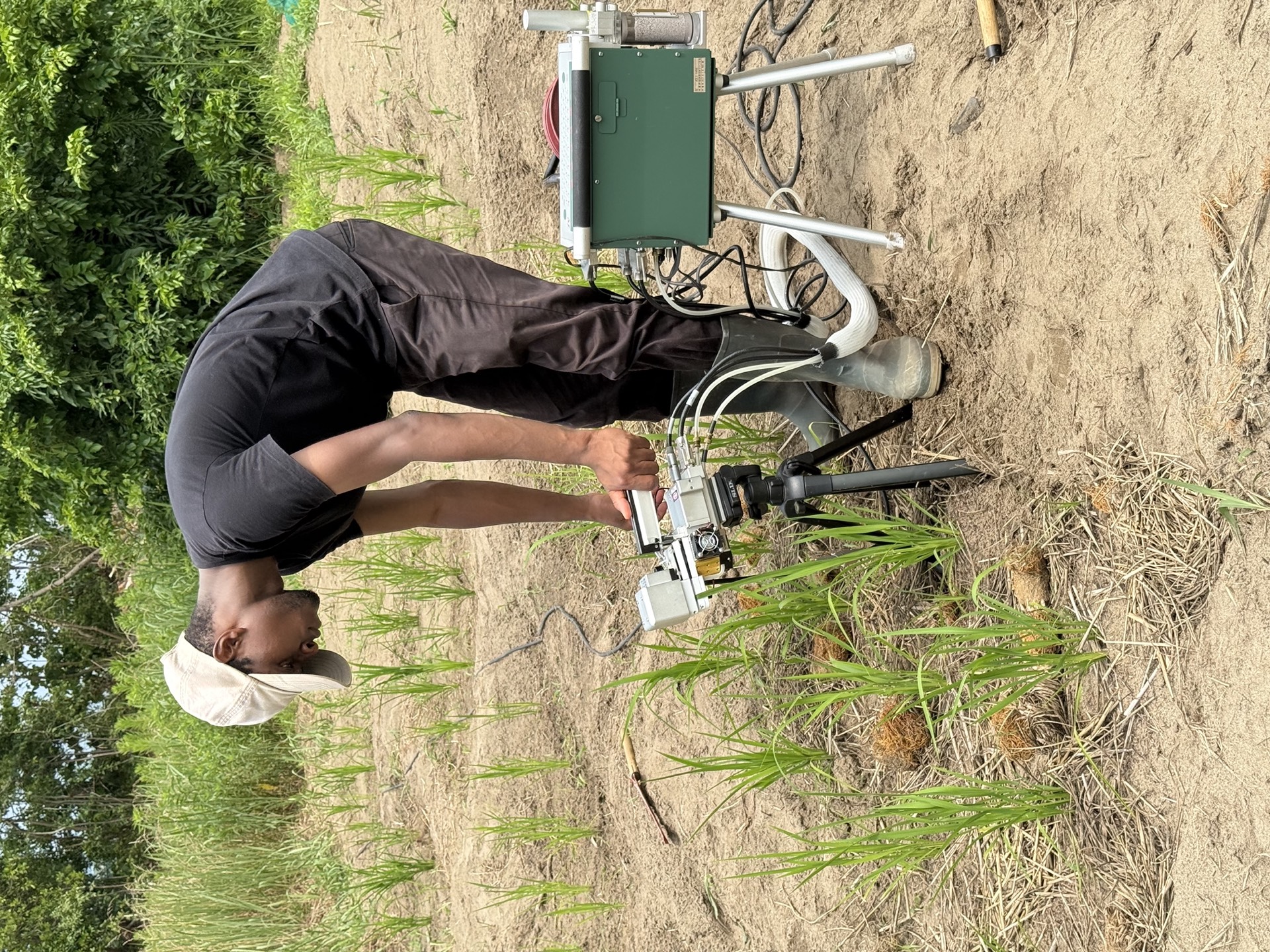 Field research photo 27