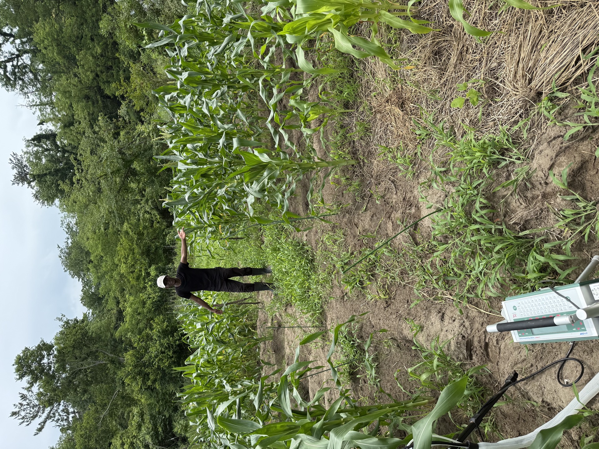 Field research photo 29