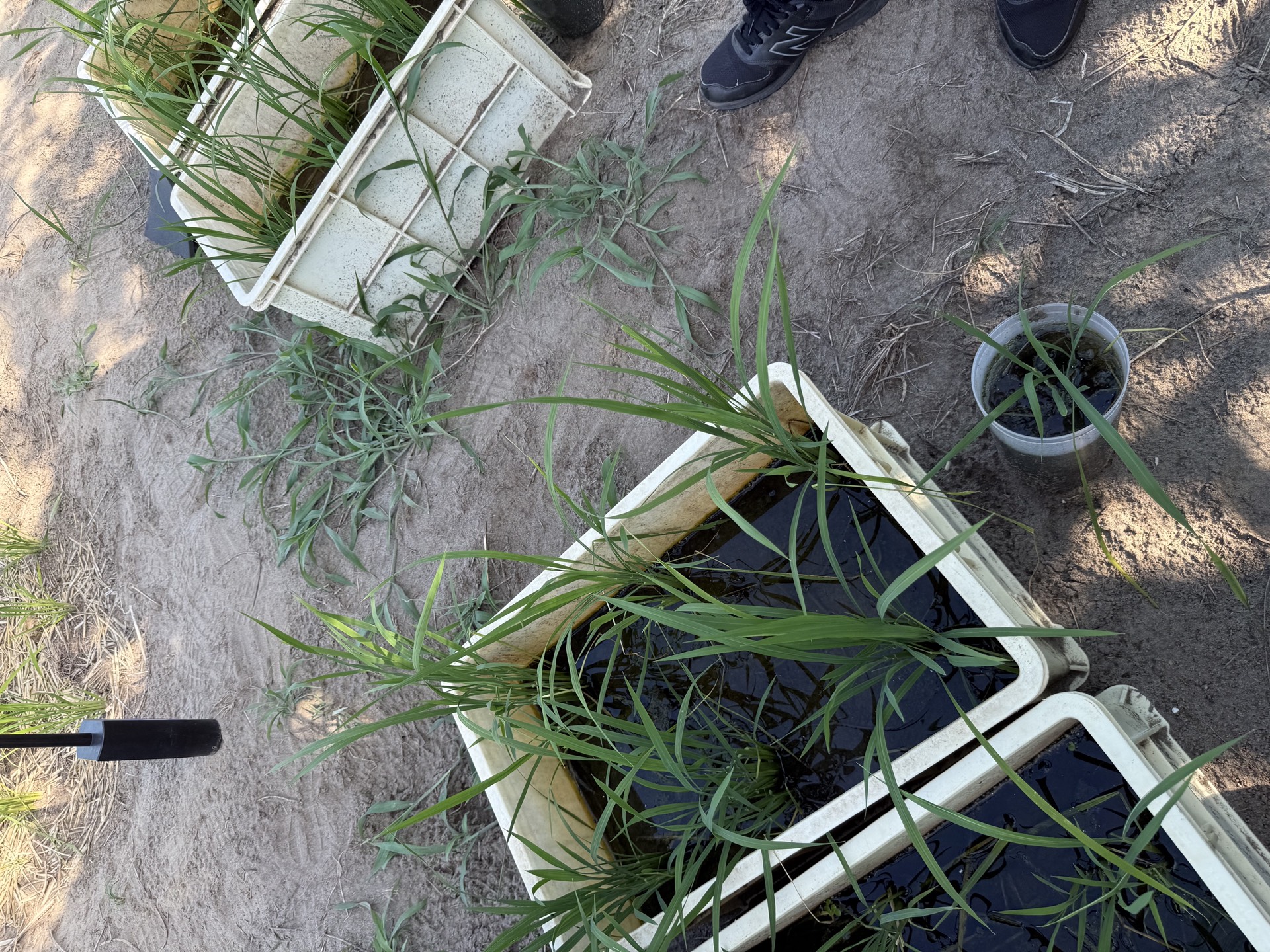 Field research photo 45