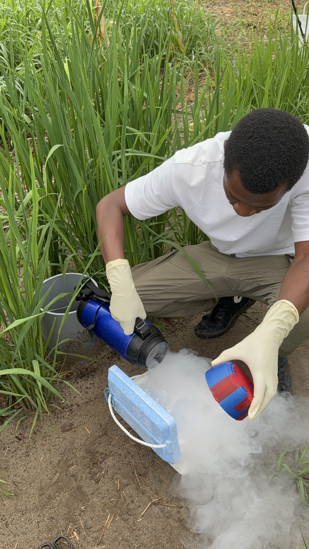 Field research photo 58