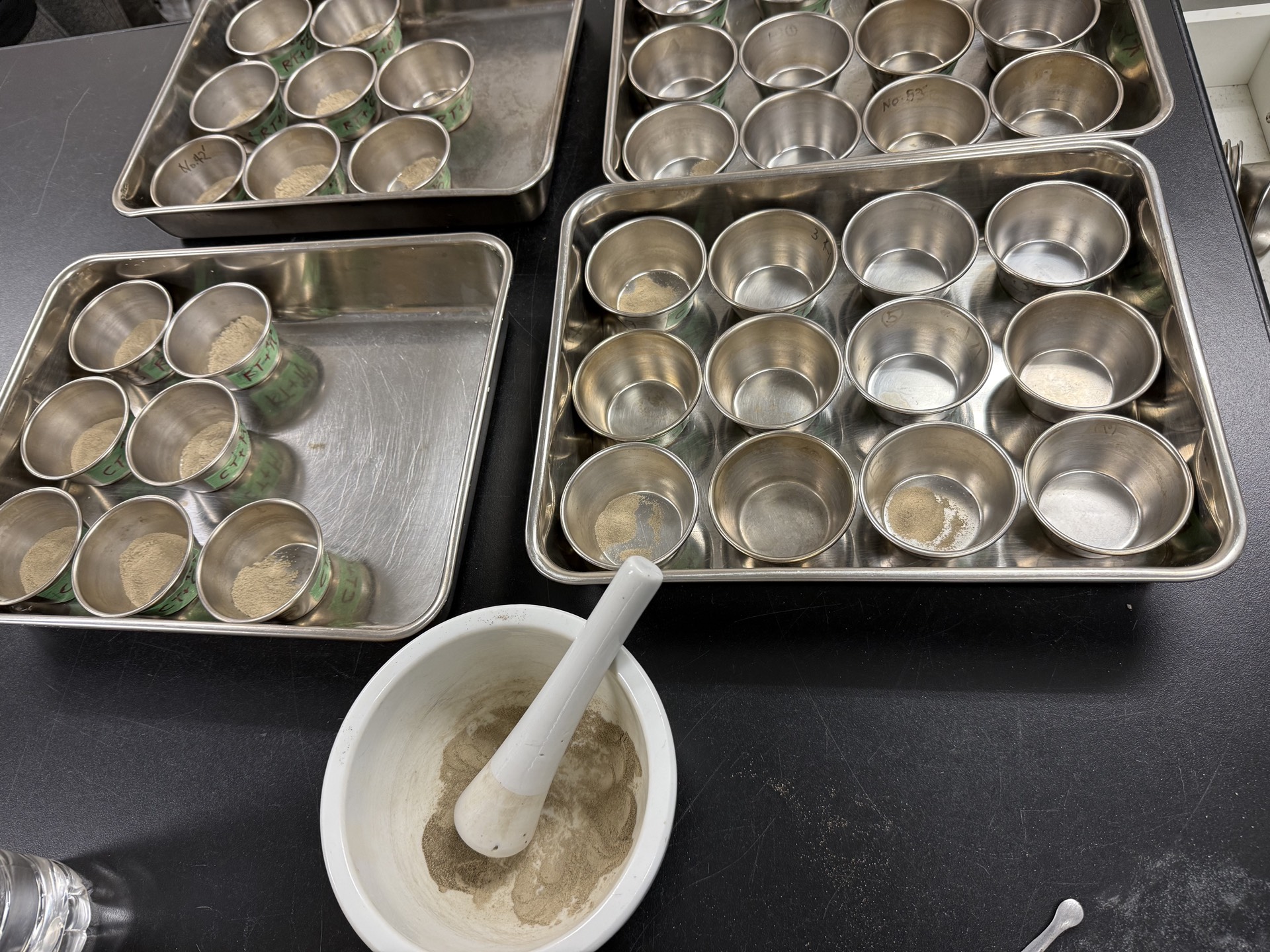 Field research photo 61