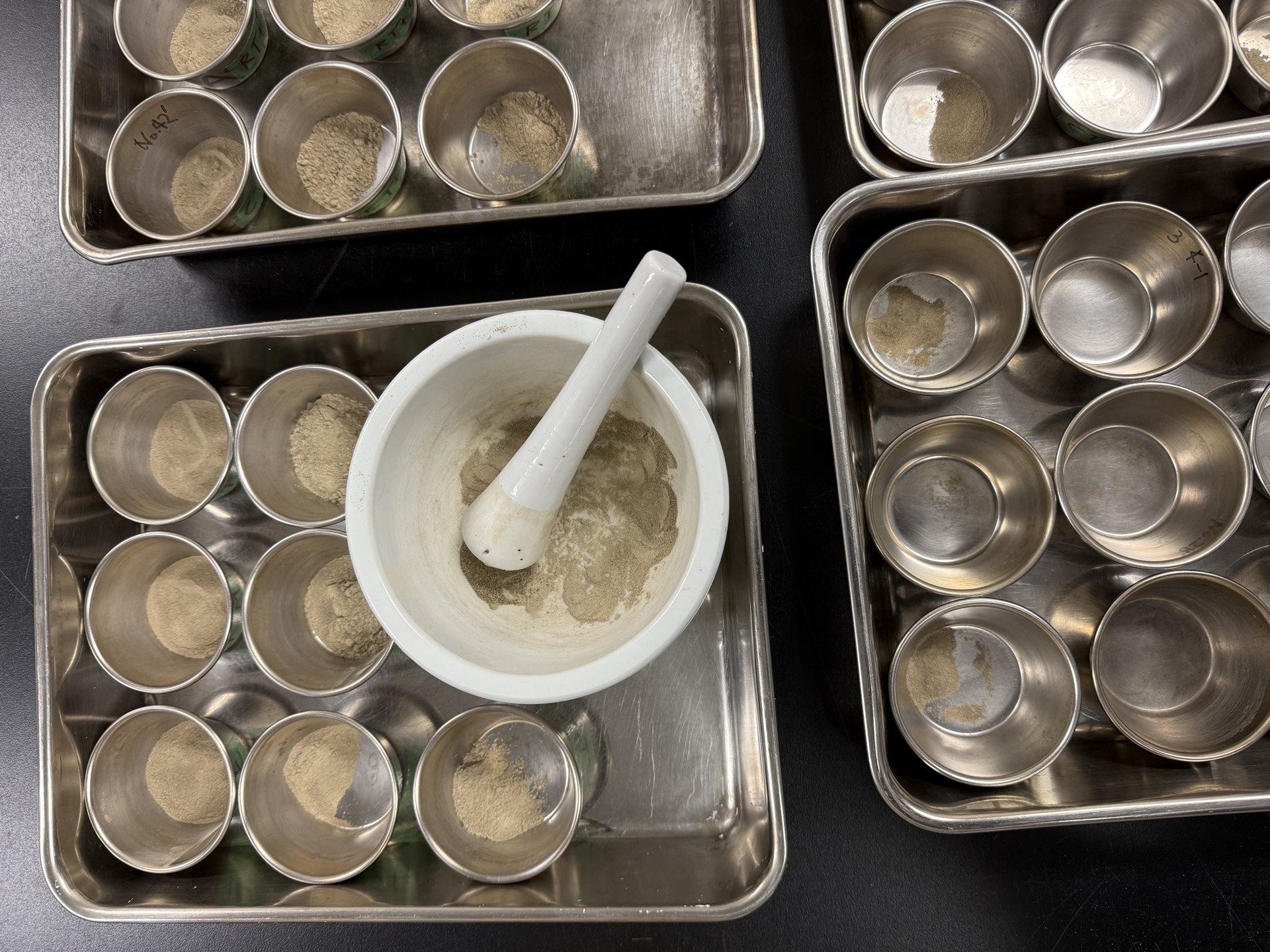 Field research photo 62