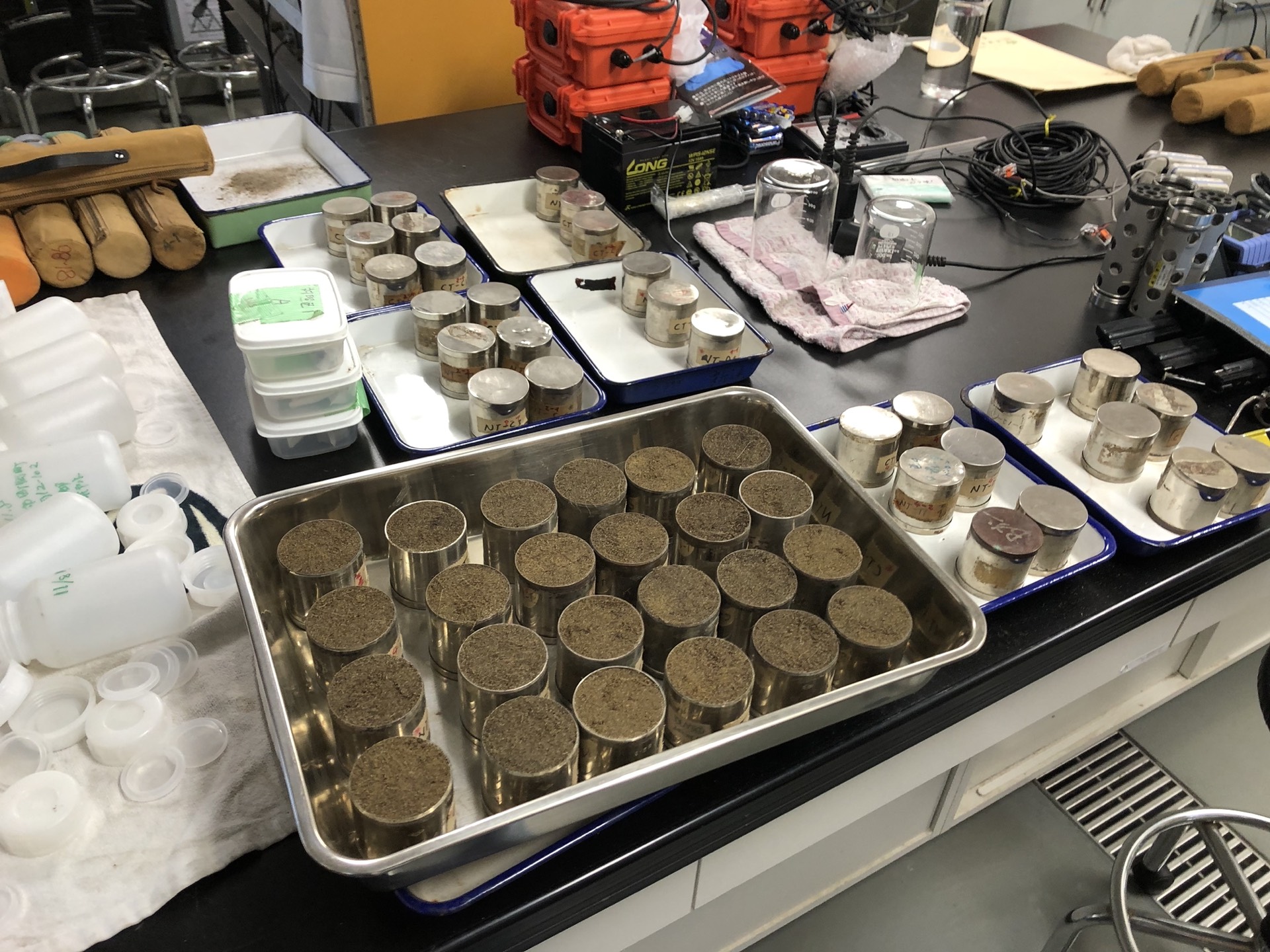 Field research photo 77